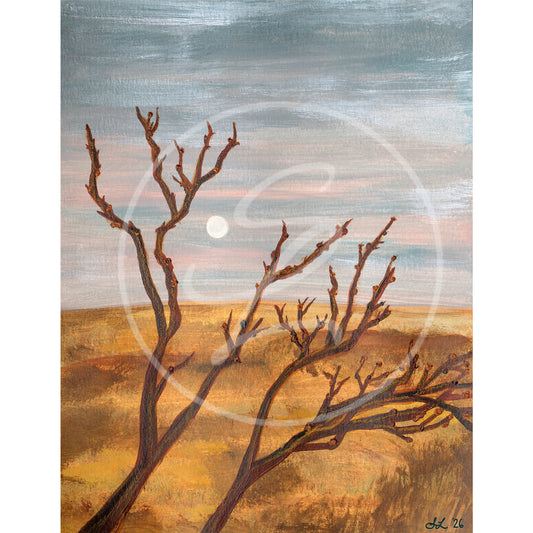 Be Still and Know: Fine Art Print