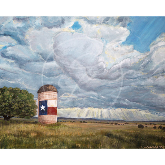 Lone Star Silo: Fine Art Print
