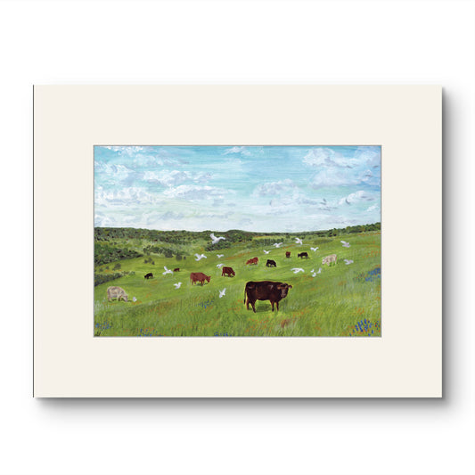 Cross Timbers