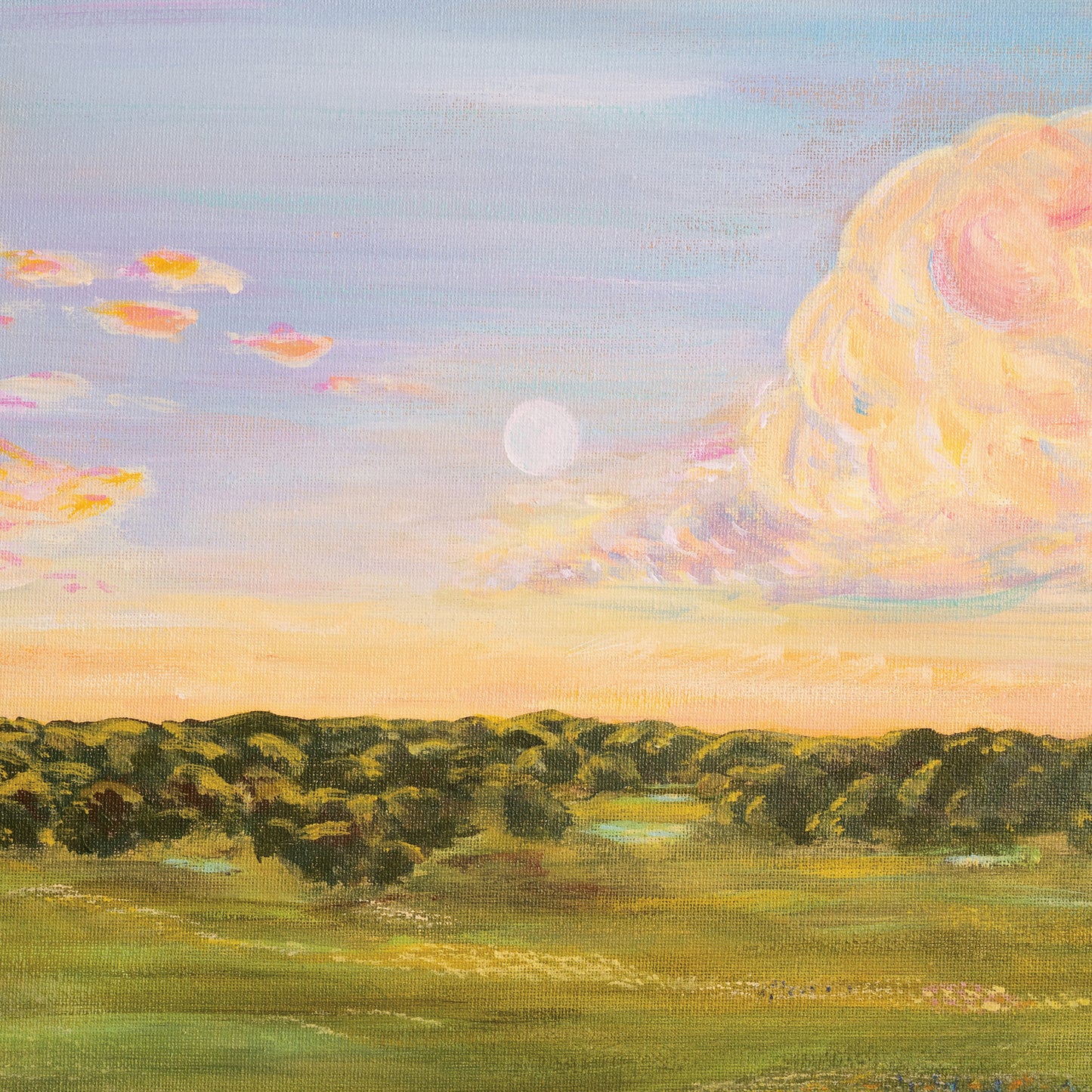 Moonlit Daydream