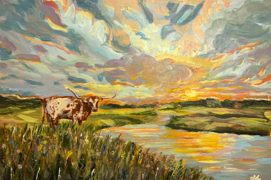 Longhorn Colorstorm